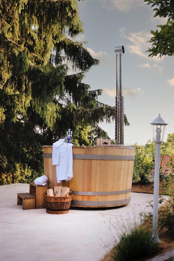 Vila Vilma Vineyard Cottage Лендава Экстерьер фото